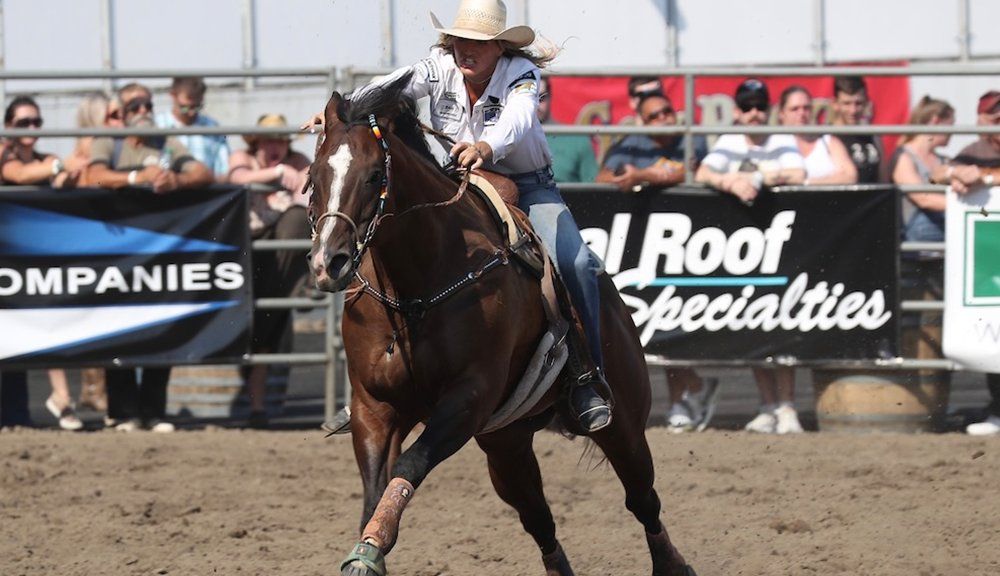 Equine veterinarian evaluating horse gait